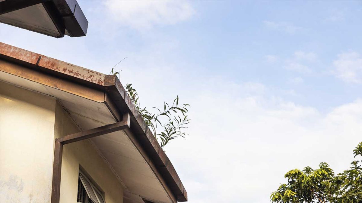 should-gutters-be-removed-when-replacing-a-roof-in-plano