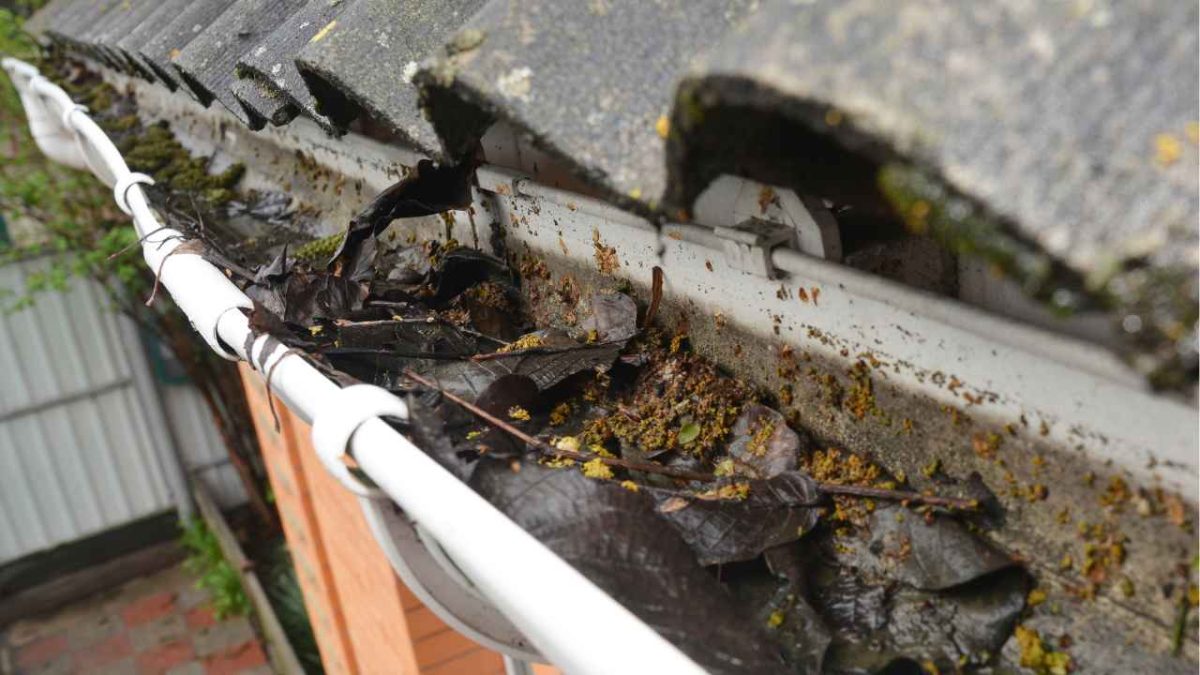 Importance of gutter repair services in Arlington
