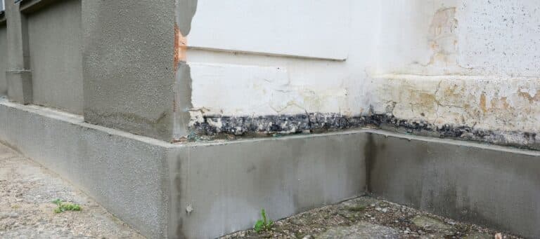 foundation in dire need of repair