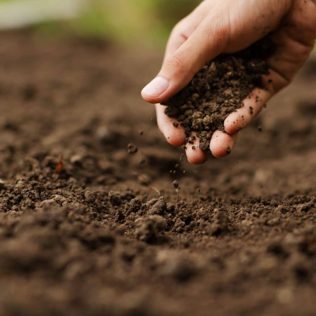 hand picking up clay soil