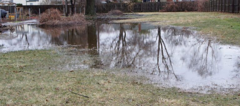 Large puddles of standing water flooding a backyard lawn after heavy rain