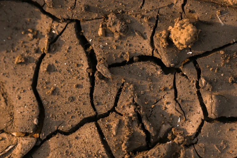 How Does Texas Clay Soil Damage Your Foundation Over Time?