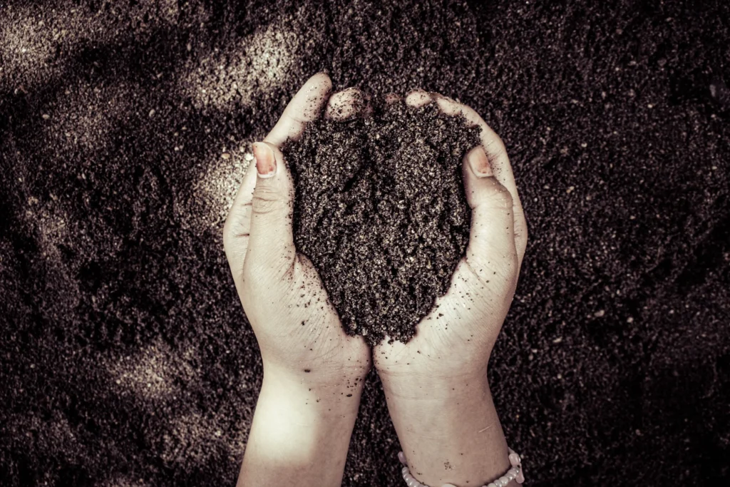 Hands holding dark soil to illustrate soil composition and conditions that can affect home foundations.