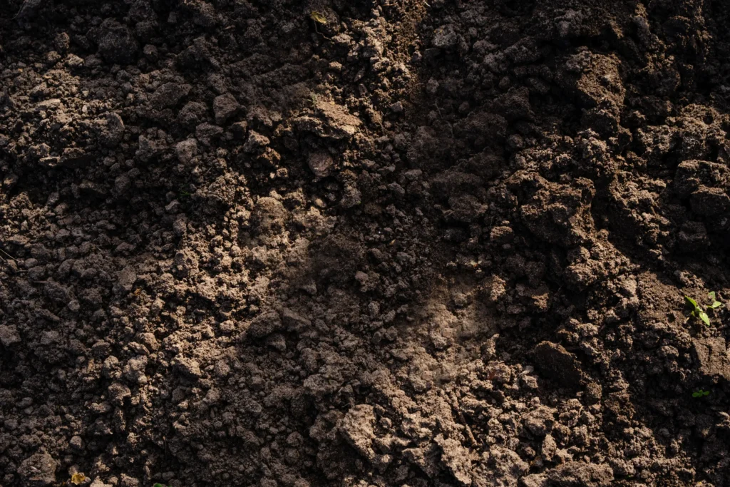Close-up of dark expansive Houston Black clay soil found across central San Antonio